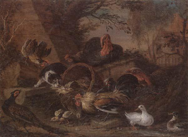 unknow artist Still life of fowl in a farmyard,with a cat stealing a bantam chick Spain oil painting art
